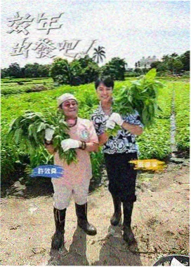 向往的生活 达达兔影院